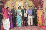 Producer Swaminathan's Son Wedding Reception