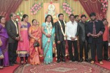 Producer Swaminathan's Son Wedding Reception