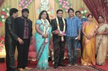 Producer Swaminathan's Son Wedding Reception