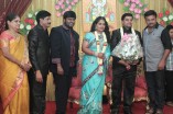 Producer Swaminathan's Son Wedding Reception