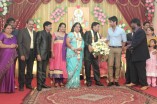 Producer Swaminathan's Son Wedding Reception