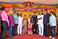 Producer T.R.Selvam's daughter Krithika wedding photots