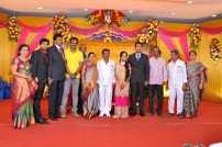 Producer T.R.Selvam's daughter Krithika wedding photots