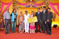 Producer T.R.Selvam's daughter Krithika wedding photots