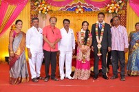 Producer T.R.Selvam's daughter Krithika wedding photots
