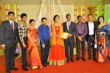 Producer Venkatramani's daughter Anusha & Varunkumar Wedding Reception