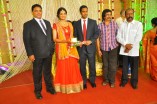 Producer Venkatramani's daughter Anusha & Varunkumar Wedding Reception