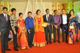 Producer Venkatramani's daughter Anusha & Varunkumar Wedding Reception