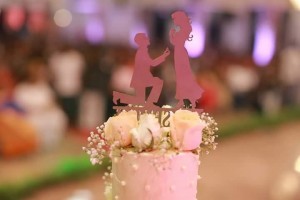 Rakshit Shetty And Rashmika Mandanna Engagement