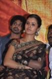 Ravana Desam Audio Launch
