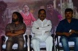 Sarithiram Pesu Audio Launch