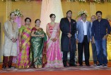 Sathya Jyothi Films TG Thyagarajan son Sendhil Wedding Reception