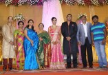 Sathya Jyothi Films TG Thyagarajan son Sendhil Wedding Reception