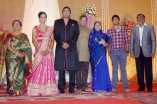 Sathya Jyothi Films TG Thyagarajan son Sendhil Wedding Reception