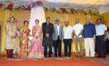 Sathya Jyothi Films TG Thyagarajan son Sendhil Wedding Reception