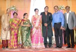 Sathya Jyothi Films TG Thyagarajan son Sendhil Wedding Reception