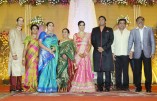 Sathya Jyothi Films TG Thyagarajan son Sendhil Wedding Reception