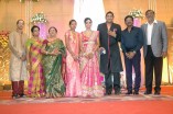 Sathya Jyothi Films TG Thyagarajan son Sendhil Wedding Reception