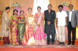 Sathya Jyothi Films TG Thyagarajan son Sendhil Wedding Reception