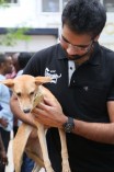 Sathyaraj & Sibiraj rescue a dog which survived the Porur disaster