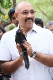 Sathyaraj & Sibiraj rescue a dog which survived the Porur disaster