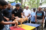 Sathyaraj & Sibiraj rescue a dog which survived the Porur disaster