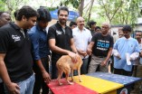 Sathyaraj & Sibiraj rescue a dog which survived the Porur disaster