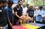Sathyaraj & Sibiraj rescue a dog which survived the Porur disaster