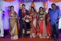 Seenu Ramasamy's sister Anitha wedding reception photos