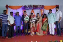 Seenu Ramasamy's sister Anitha wedding reception photos