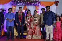 Seenu Ramasamy's sister Anitha wedding reception photos