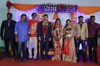Seenu Ramasamy's sister Anitha wedding reception photos