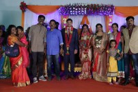 Seenu Ramasamy's sister Anitha wedding reception photos