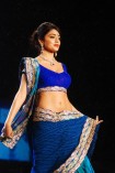 Shriya Saran Ramp Walk at CPAA