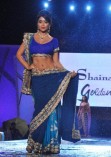 Shriya Saran Ramp Walk at CPAA