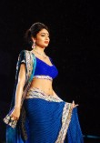 Shriya Saran Ramp Walk at CPAA