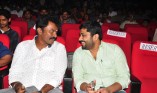 Singam 2 Audio Launch in Telugu