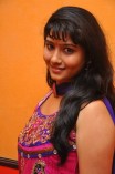 Sogusu Perundhu Audio Launch
