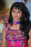 Sogusu Perundhu Audio Launch