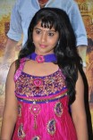 Sogusu Perundhu Audio Launch