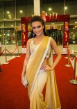 South Stars Glitter at SIIMA
