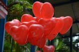 Suriya Celebrating World Heart Day