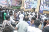 Thalaivaa fans celebration at Albert