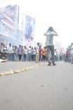 Thalaivaa fans celebration at Albert