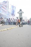 Thalaivaa fans celebration at Albert