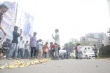 Thalaivaa fans celebration at Albert