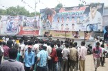 Thalaivaa fans celebration at Albert