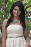 Thedi Pidi Adi Press Meet