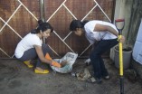 Trisha does her bit for a Clean India