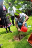 Vanakkam Chennai Crew Planted 100 Saplings